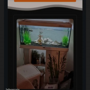 vend aquarium et meuble.inclus