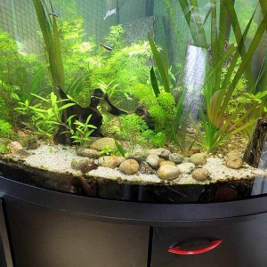 IREENUO Pompe a Air Aquarium, 3W 300L/H Pompe à Oxygène Aquarium