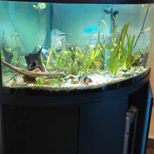 Aquarium 360L angle