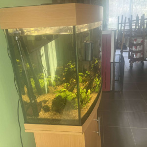 Aquarium 400L