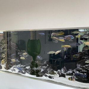 Matériel pour aquarium