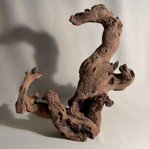 Branche - cep de vigne : sablé et étuvé - H : 38cm