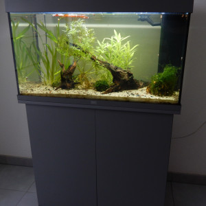 Aquarium 125 L + meuble JUWEL