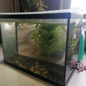 Aquarium 15 litres
