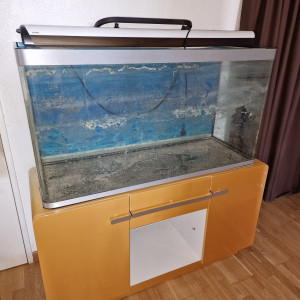 A vendre aquarium 300 litres