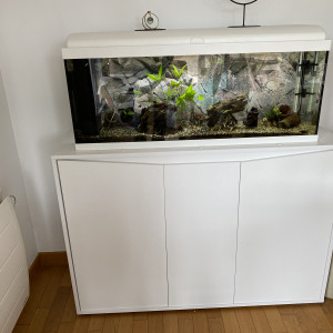 Vend aquarium  complet 125 litres