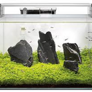 Vend aquarium scraper 90 neuf