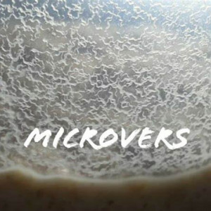 Souche de microvers pour alevins