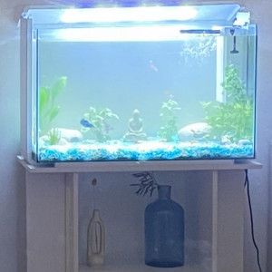 Aquarium superfish 110 avec meuble