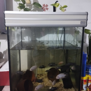 Aquarium aquatlantis avec des poissons