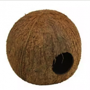 2 grottes en noix de coco