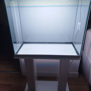 Aquarium 80litres avec son meuble et son filtre externe