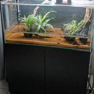 Aquarium plus meuble