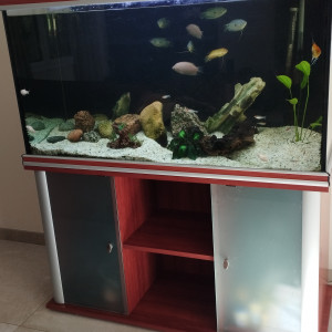 Aquarium Aquatlantis + meuble tout équipé