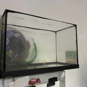 3 NANO Aquarium de 30L éclairage filtration