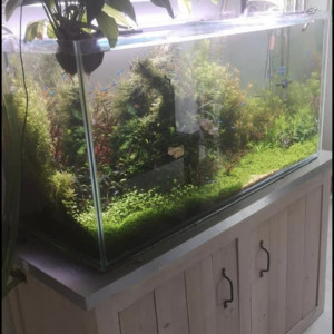 Aquarium aquascaping complet 400L