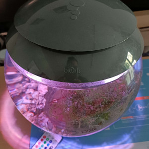 Aquarium Oase Biorb 15