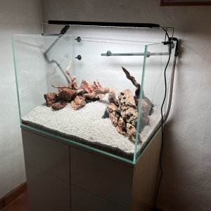Kit aquarium + meuble - EHEIM Proxima Scape 175 L  - Quasi neuf