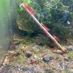Matériel aquariophilie