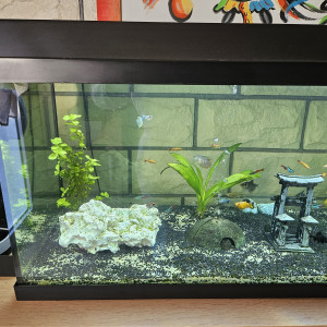 Aquarium