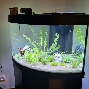 Aquarium Trigon Juwel 190 led