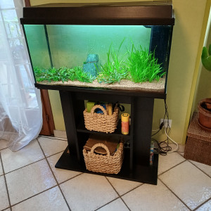 Donne aquarium et 1 poisson