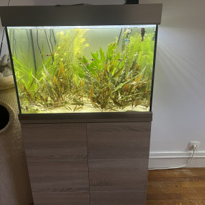 Aquarium eheim proxima 175