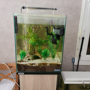 Aquarium Sera rectangulaire 80 litres avec meuble