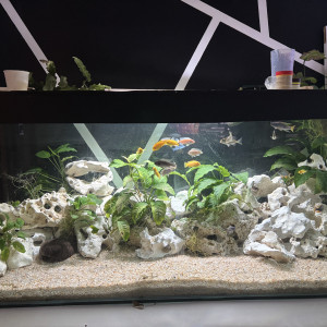 Aquarium 400 L