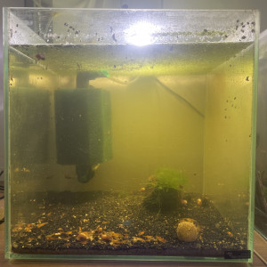 Aquarium
