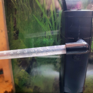 Aquarium avec accessoires et nourriture pour combattant