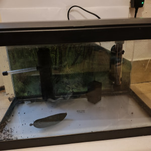 Aquarium avec accessoires et nourriture pour combattant