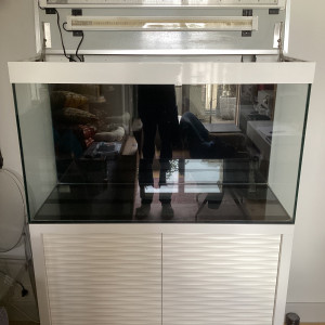 AQUARIUM 200l CIANO + MEUBLE + THERMOFILTRE EHEIM 4e 250