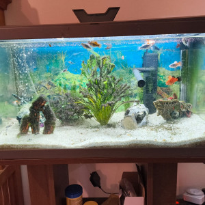 Donne aquarium 48L