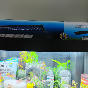 Aquarium 250 litres