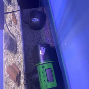 Aquarium complet et poissons
