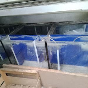 batteries de 4 aquariums