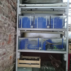 batteries de 4 aquariums