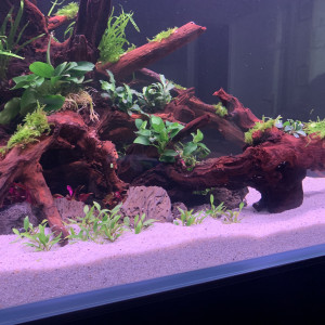 RIVER WOOD A VENDRE