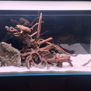 RACINE RIVER WOOD A VENDRE
