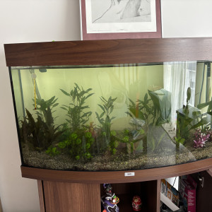 Vente aquarium