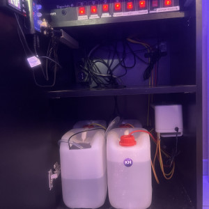 Aquarium marin complet