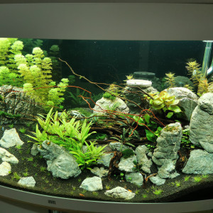 Aquarium juwel vision 260l
