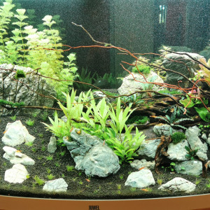 Aquarium juwel vision 260l