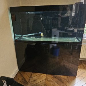 Aquarium EHEIM Incpiria 400 Black Edition + Meuble – Très bon état