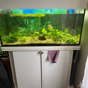 Aquarium 200 litres