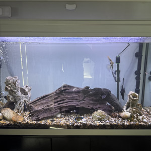 Don aquarium 200l complet