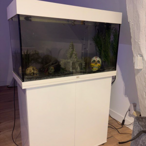 Aquarium juwel 125L