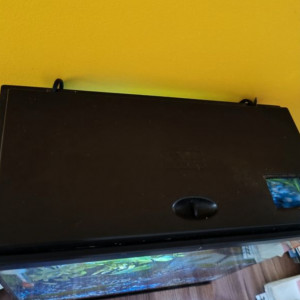 Aquarium 22L en eau