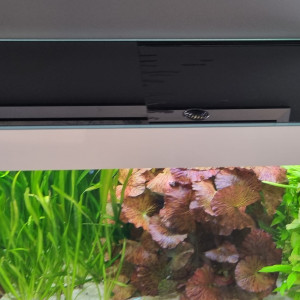 Aquarium marque Eheim Modèle Incpiria 430 alpin blanc